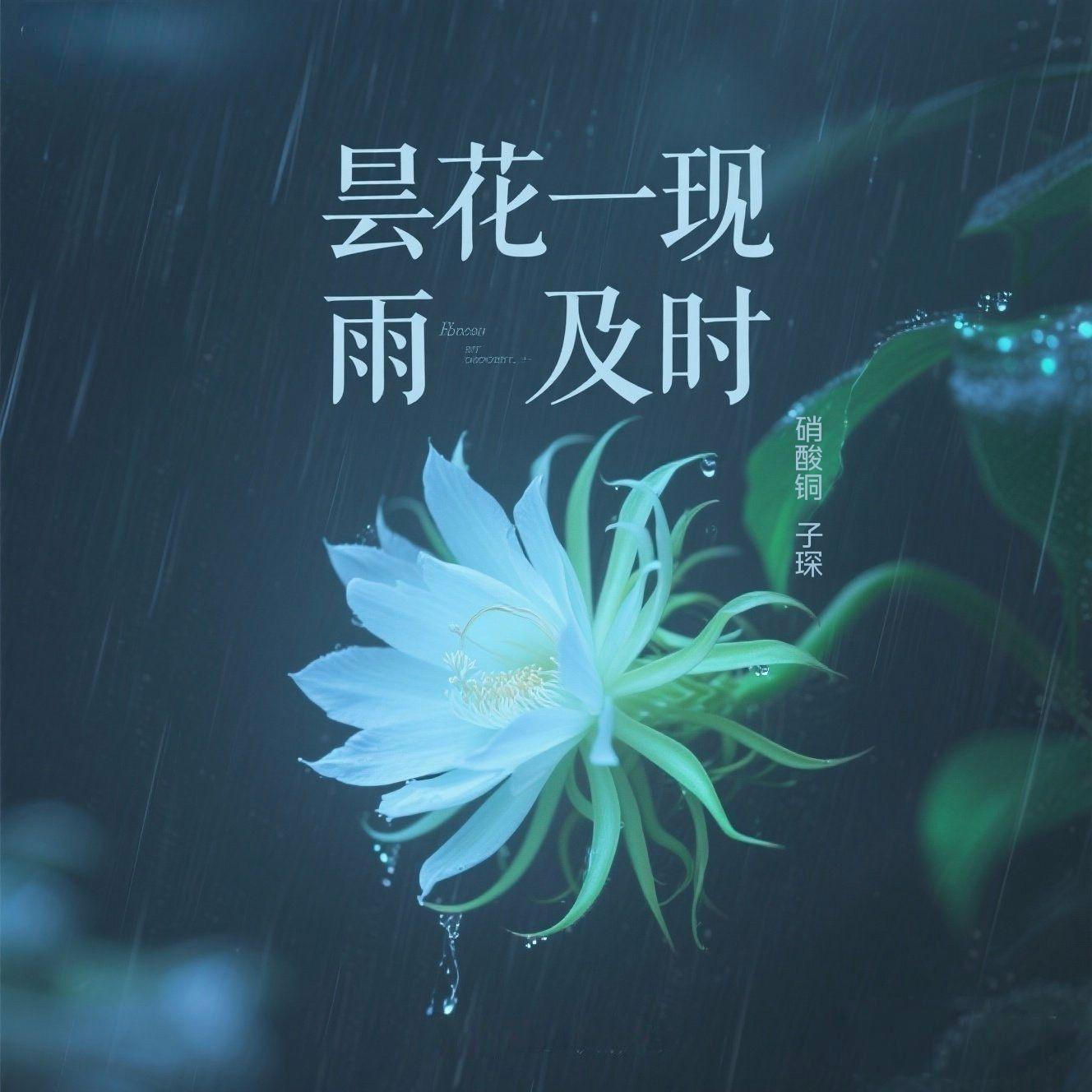 昙花一现雨及时封面