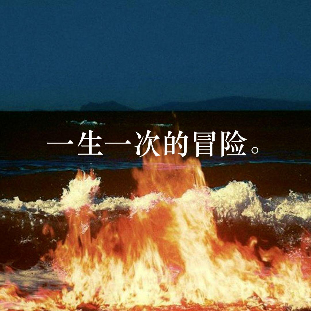 一生一次的冒险。封面