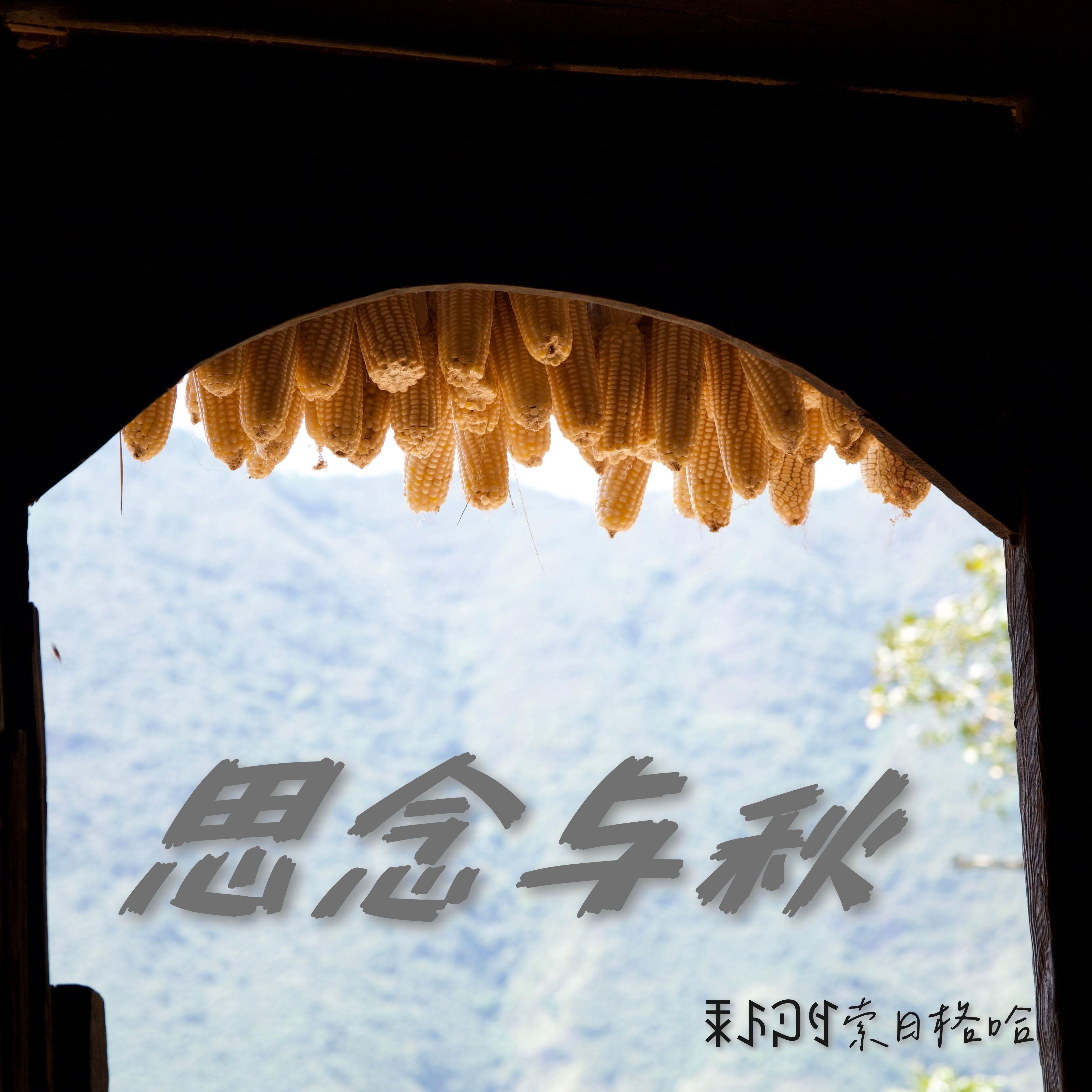 春天终会回来封面