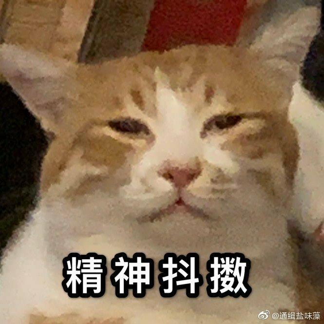 给我来包小浣熊