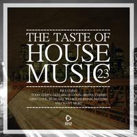 The Taste of House Music, Vol. 23