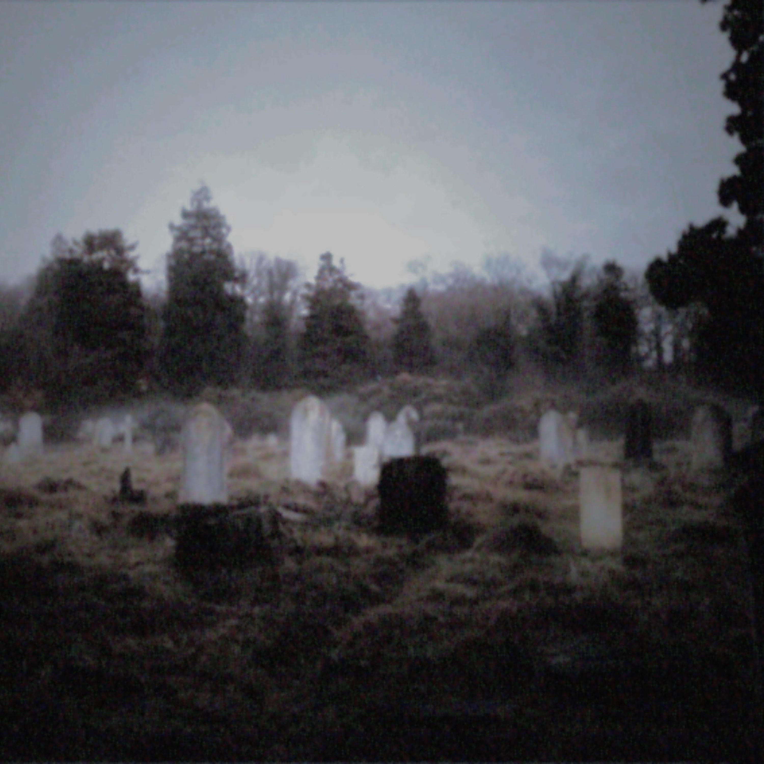 Z-Day (feat. Hood-e)