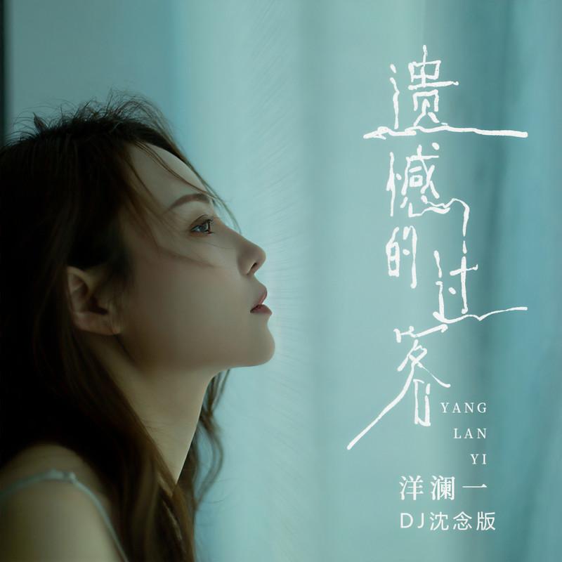 遗憾的过客 (DJ沈念版)封面