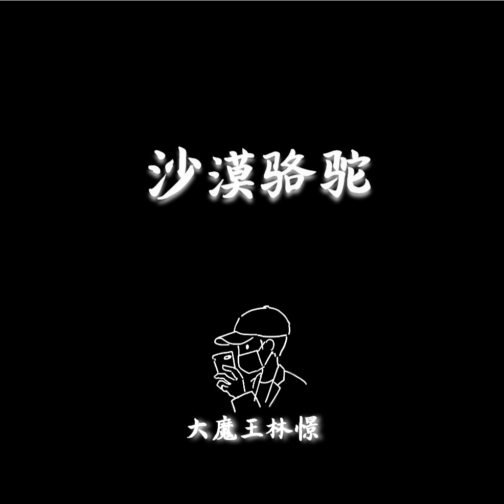 展展与罗罗-沙漠骆驼 钢琴曲（大魔王林憬 remix）