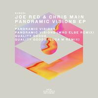 Panoramic Visions EP