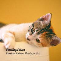 Chilling Claws: Pawsitive Ambient Melody for Cats