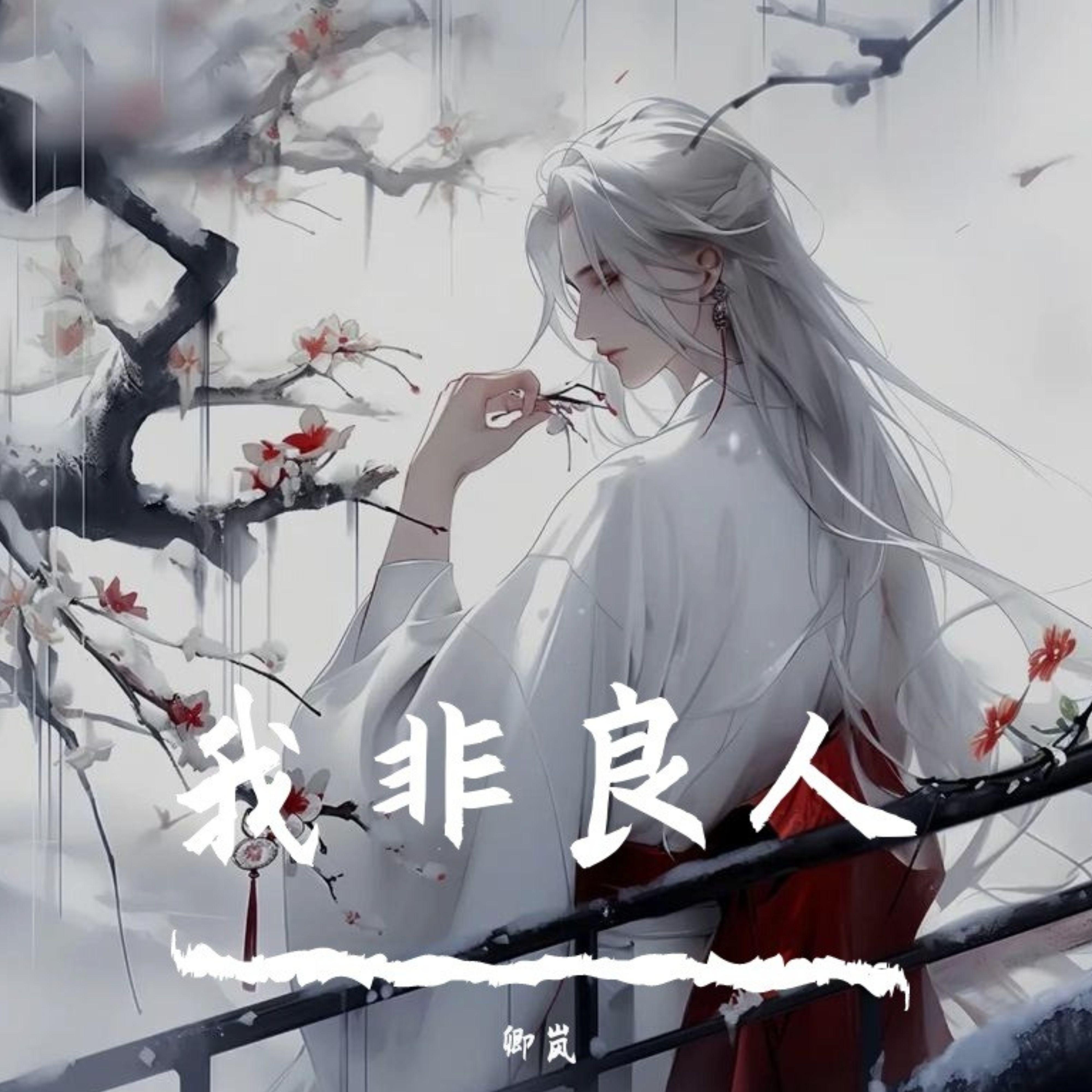 我非良人 (伴奏) - 卿岚封面