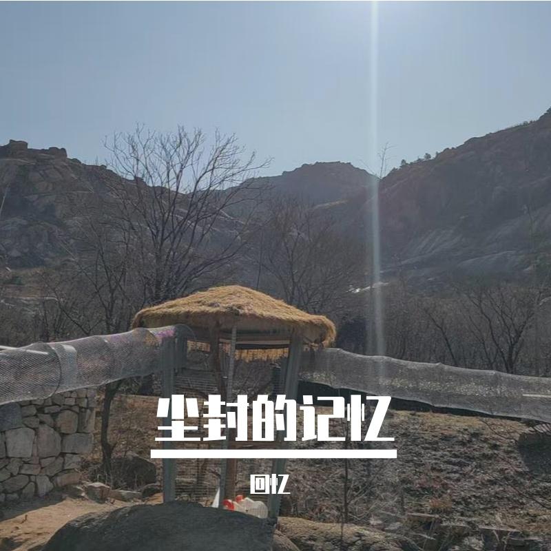 沉默等候封面