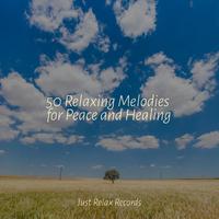 50 Relaxing Melodies for Peace and Healing