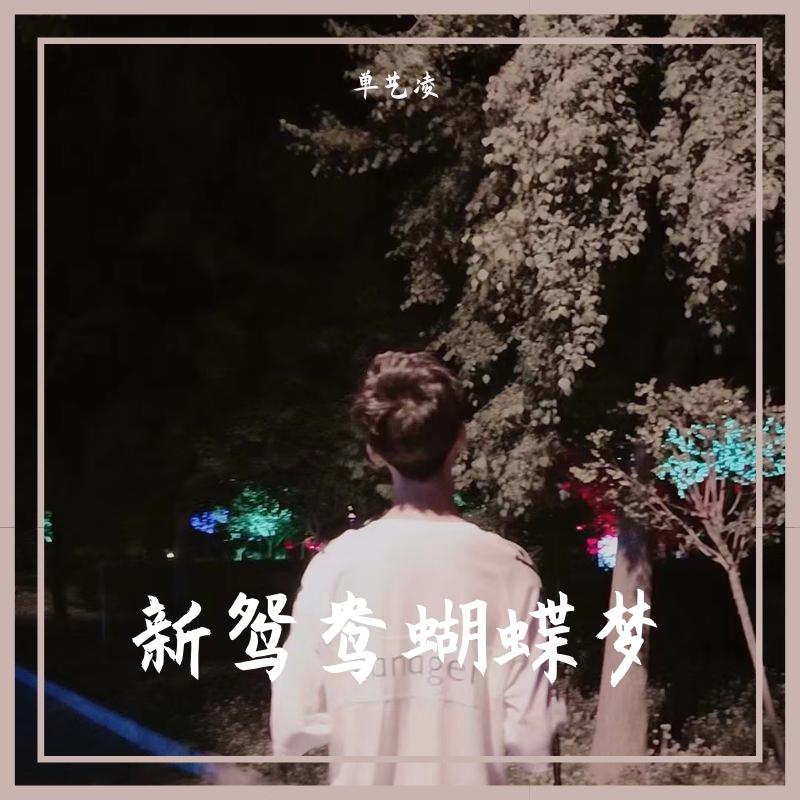 新鸳鸯蝴蝶梦（完整版)封面
