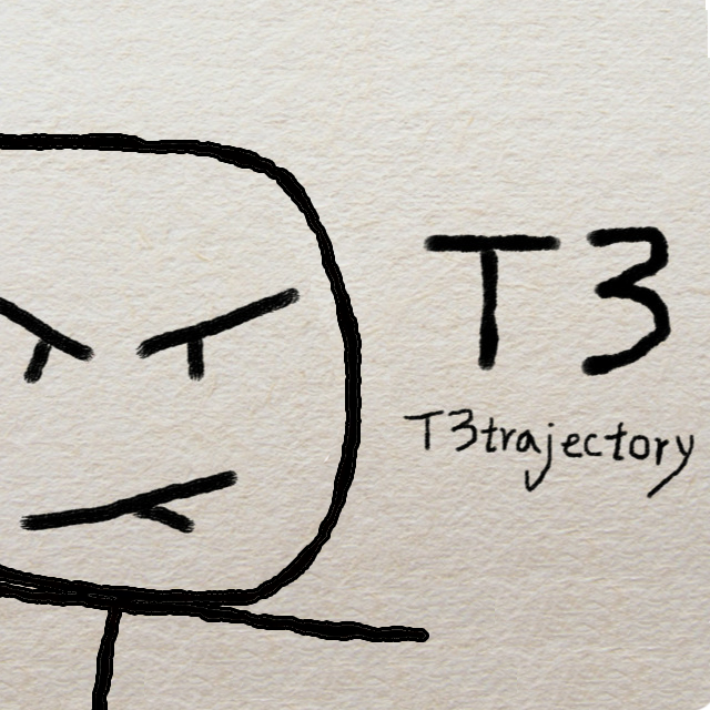 T3
