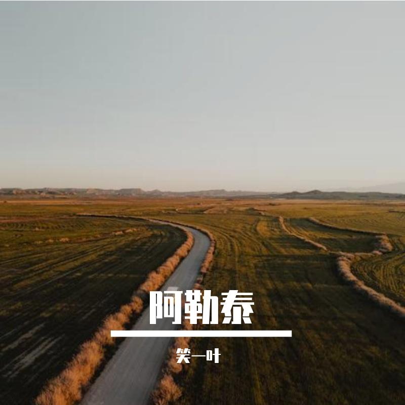 桃木铜镜情封面