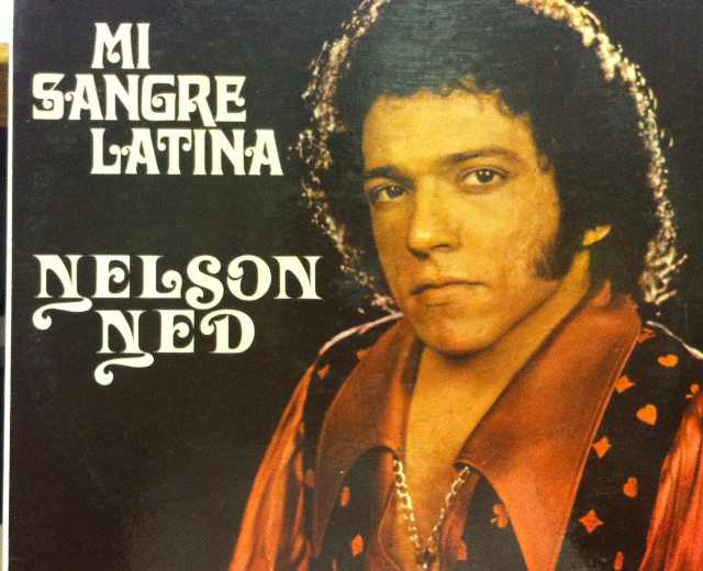 Nelson Ned