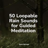 50 Loopable Rain Sounds for Guided Meditation