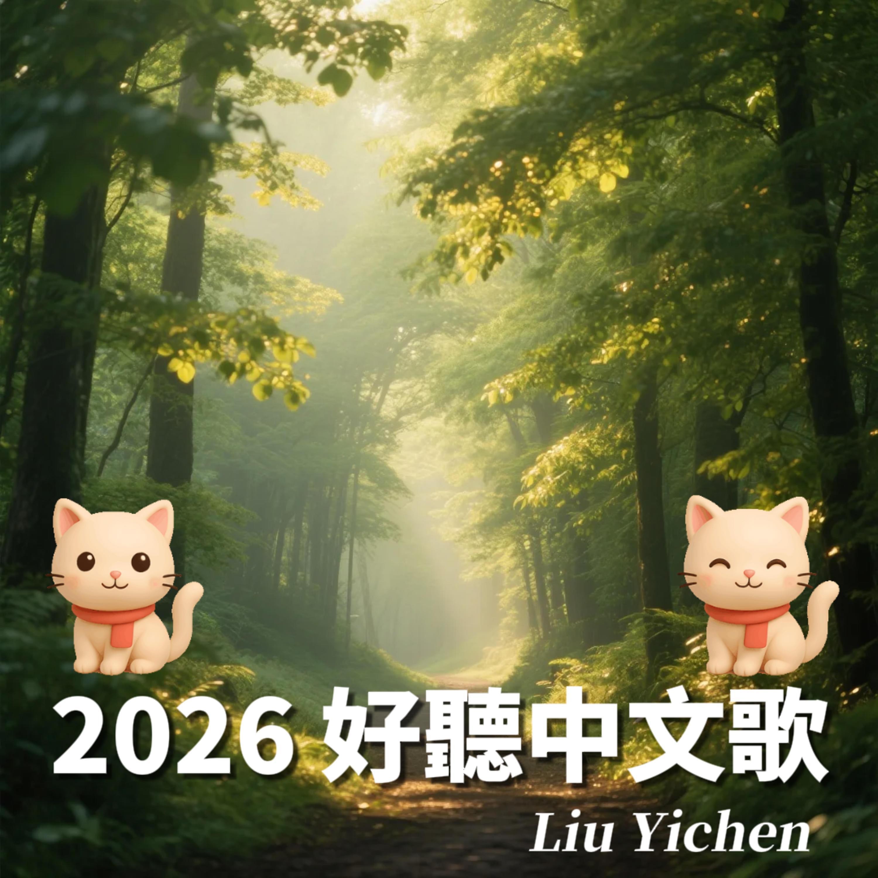 美好的意外封面