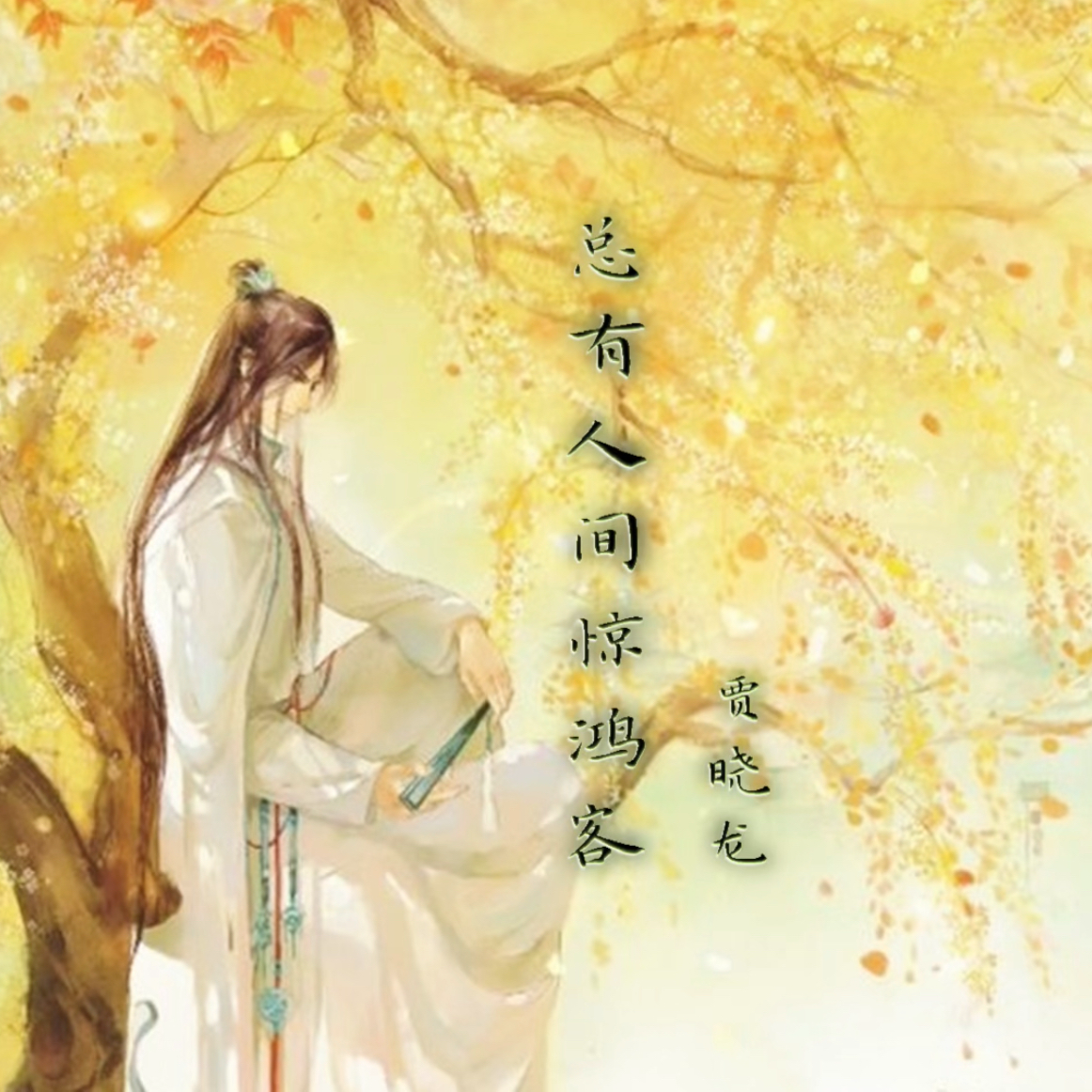 总有人间惊鸿客 伴奏封面