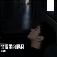 北极星的眼泪 韩智愚翻唱版