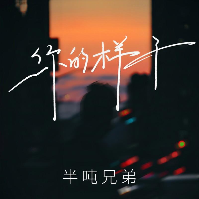 你的样子封面
