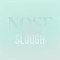 Nose Slough