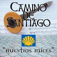 Camino de Santiago. Musica De Galicia