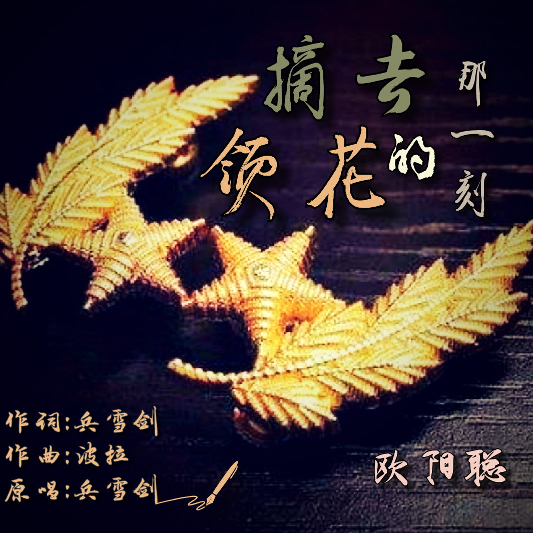 摘去领花的那一刻封面