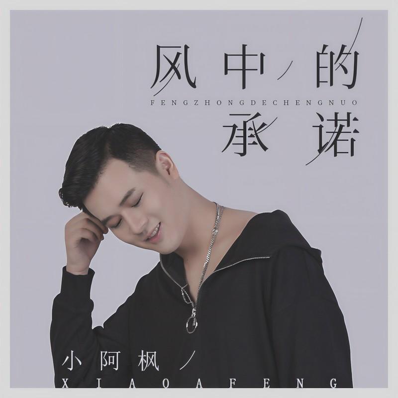 风中的承诺 (DJ光音坊版伴奏)封面