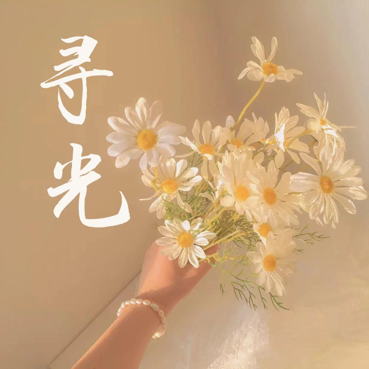 我们向往着哪里（Cover） - 蒸笼里的包子、阿橘封面
