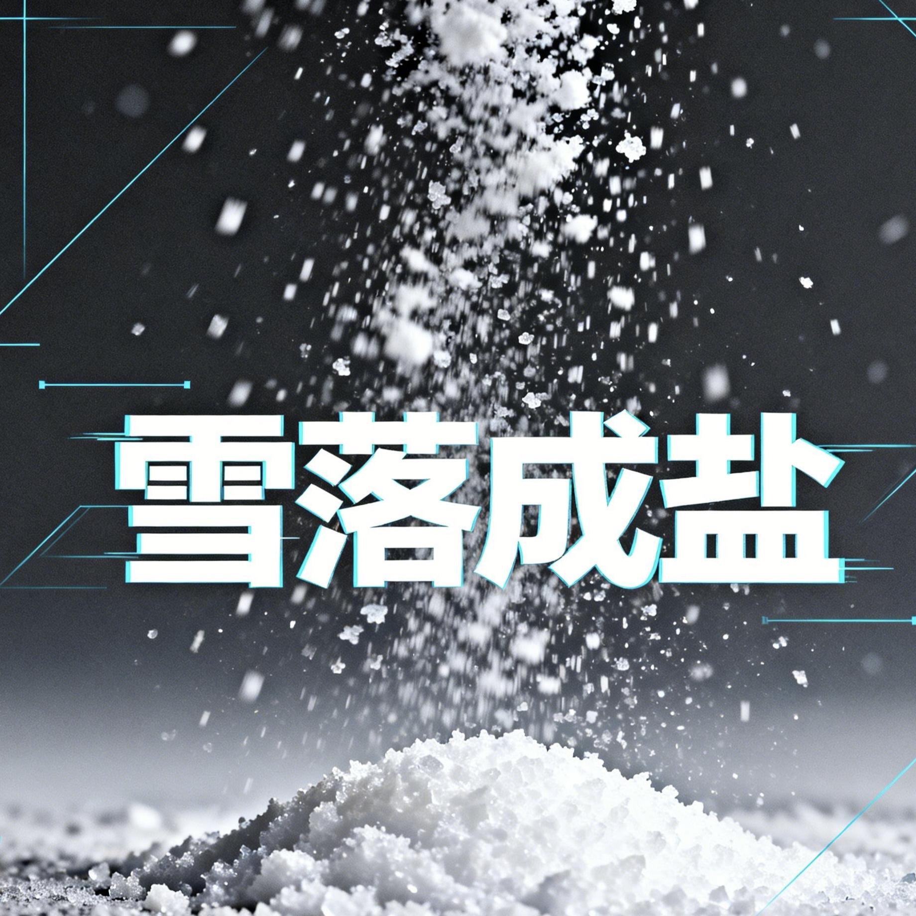 雪落成盐(说唱版)封面