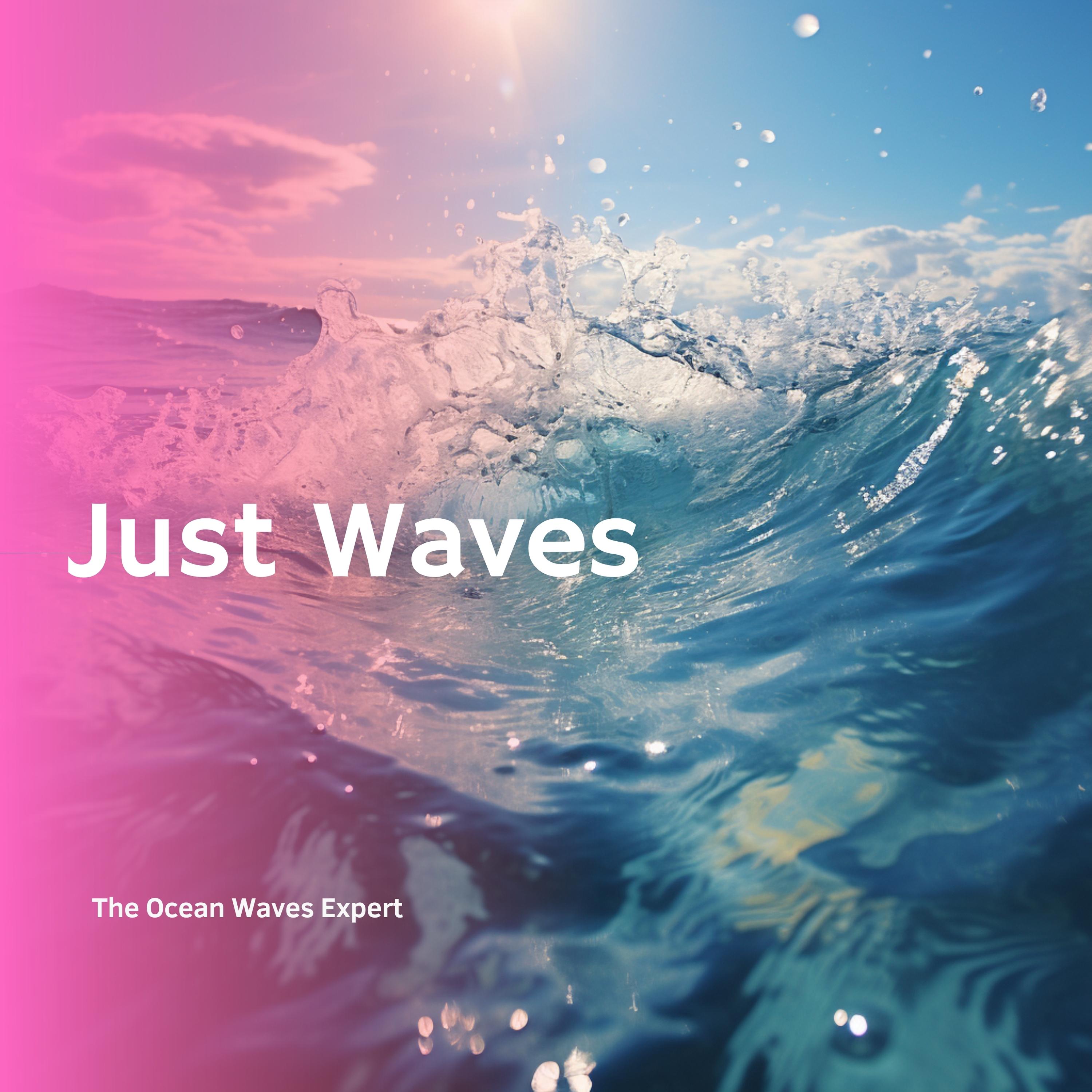 Just Waves Ocean Nature Sounds The Ocean Waves Experts 专辑 网易云音乐