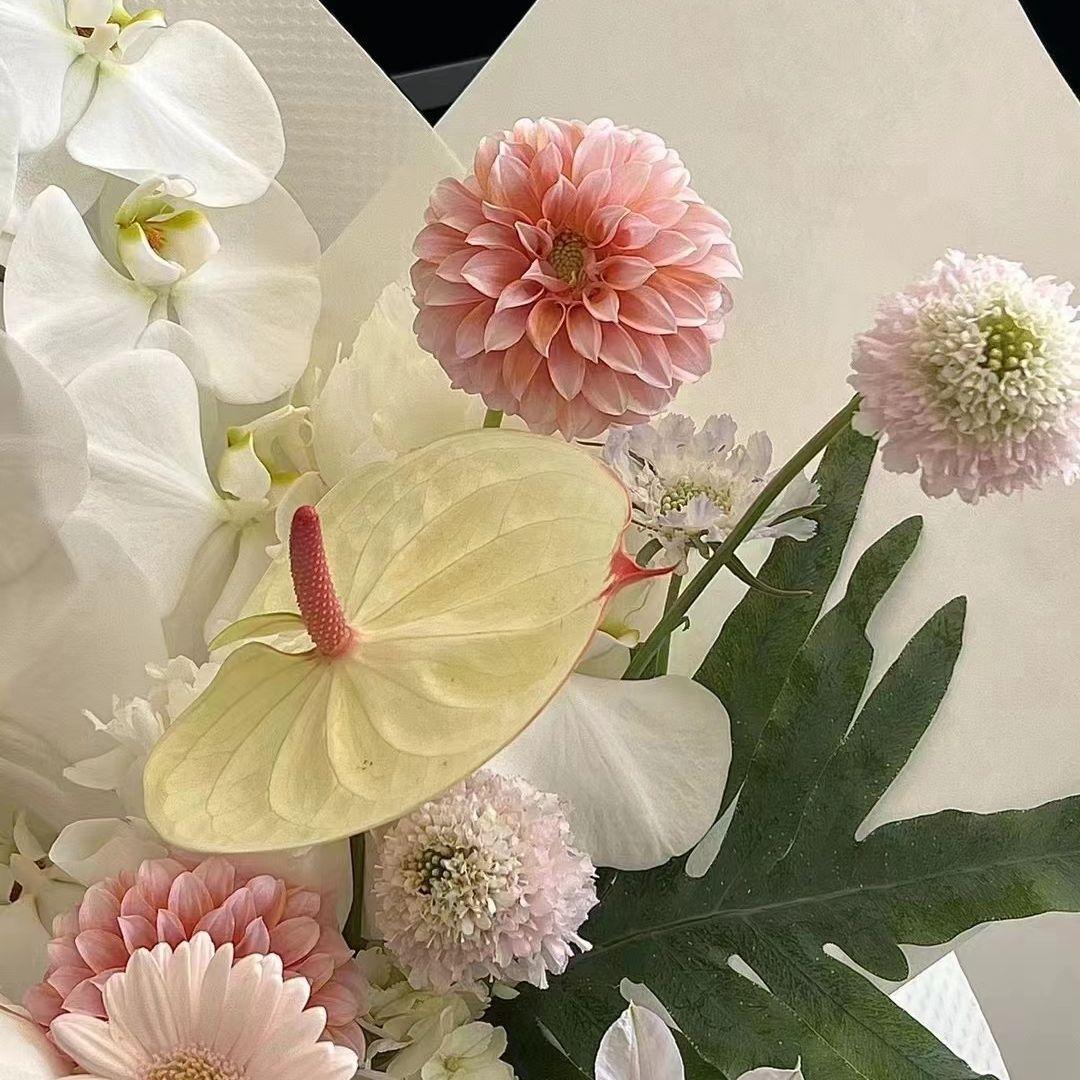 湾仔封面