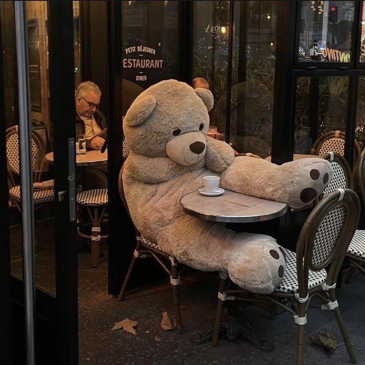 波比今天不熬夜