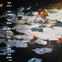 不解—《二哈和他的白猫师尊》同人曲