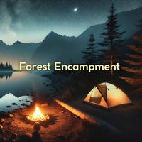 Forest Encampment: Night Nature Sounds for Relaxation, Sleep, Stress Relief