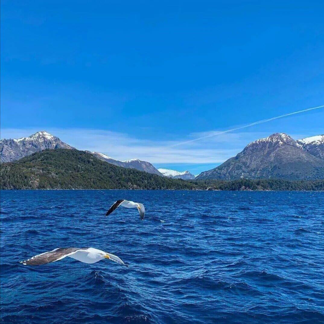 看海封面