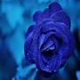 Blu3