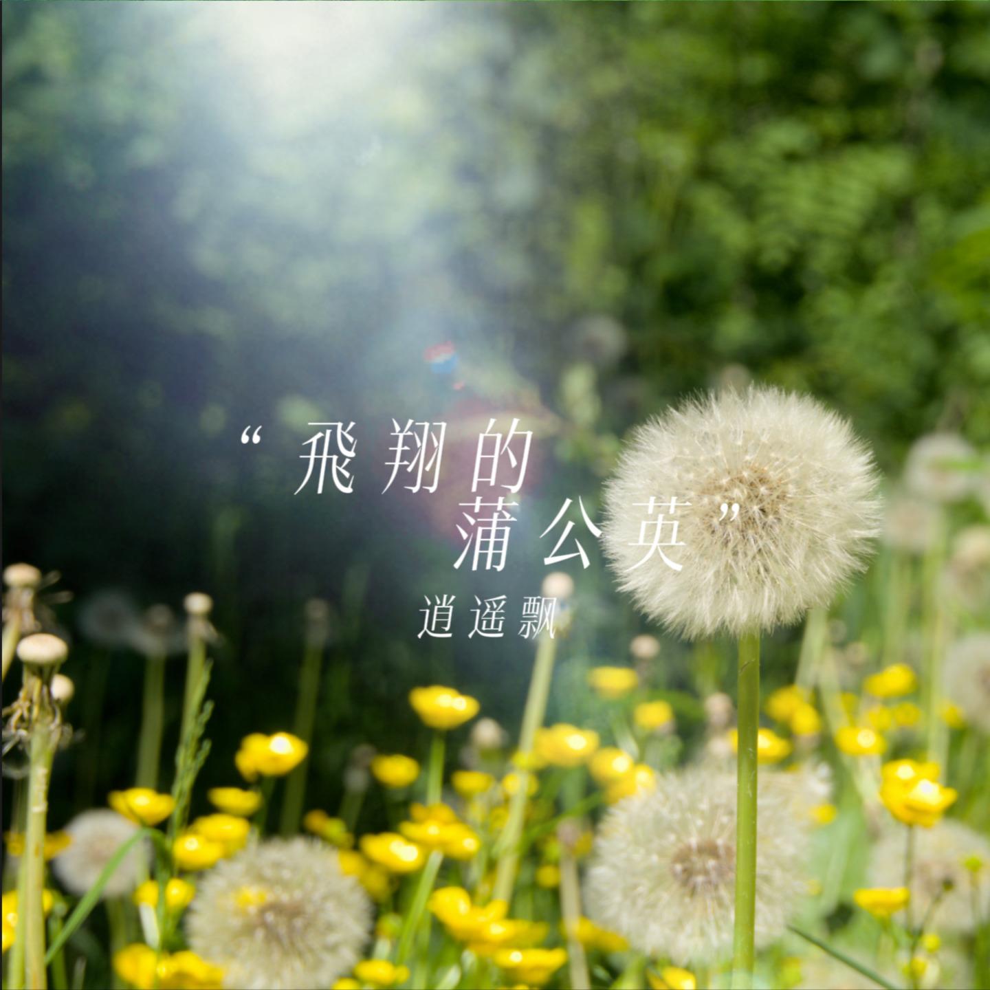 飛翔的蒲公英封面