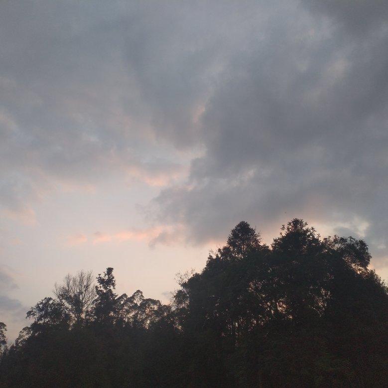 虐文专属｜没有结果何必招惹