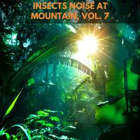 Insects Noise at Mountain, Vol. 7