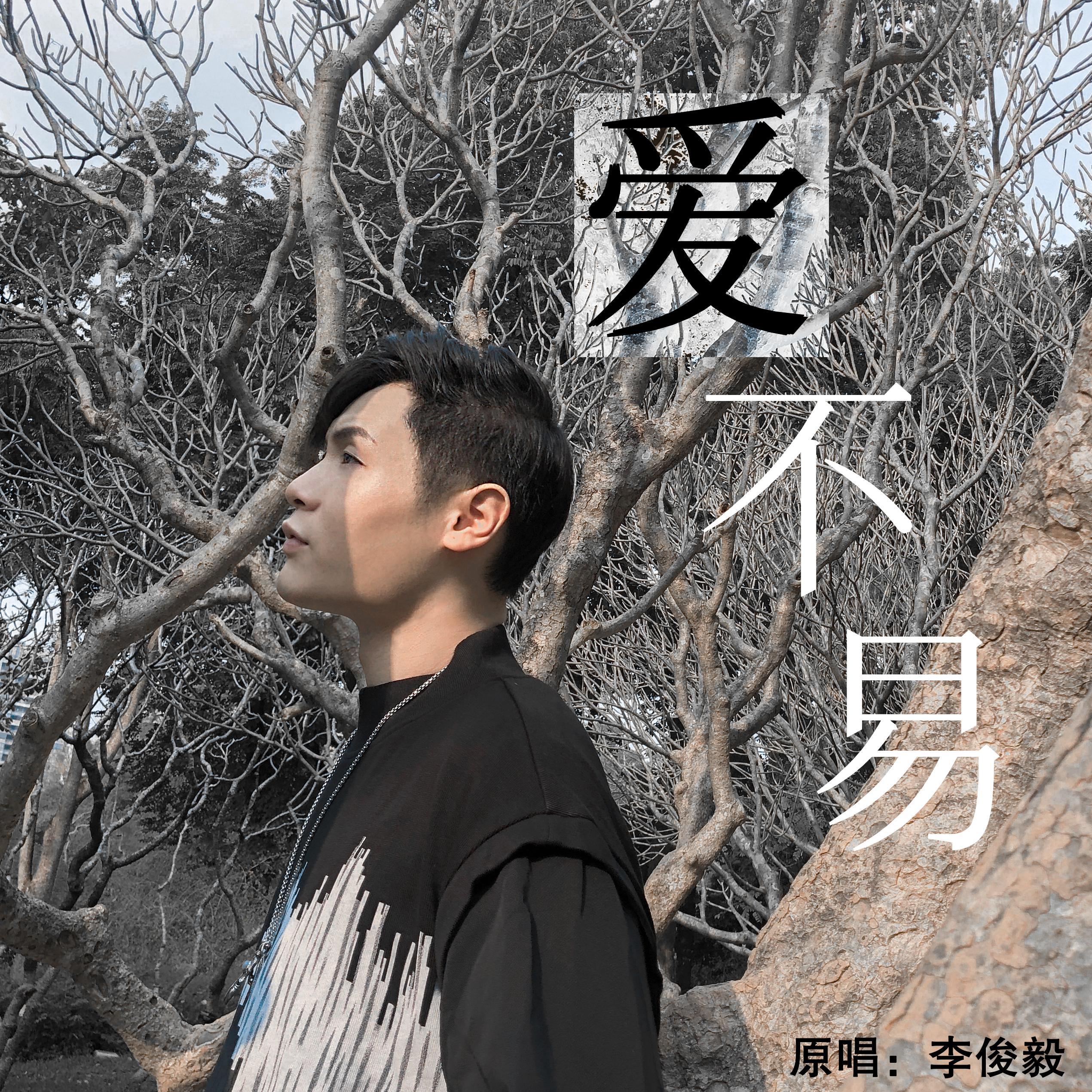 爱不易封面