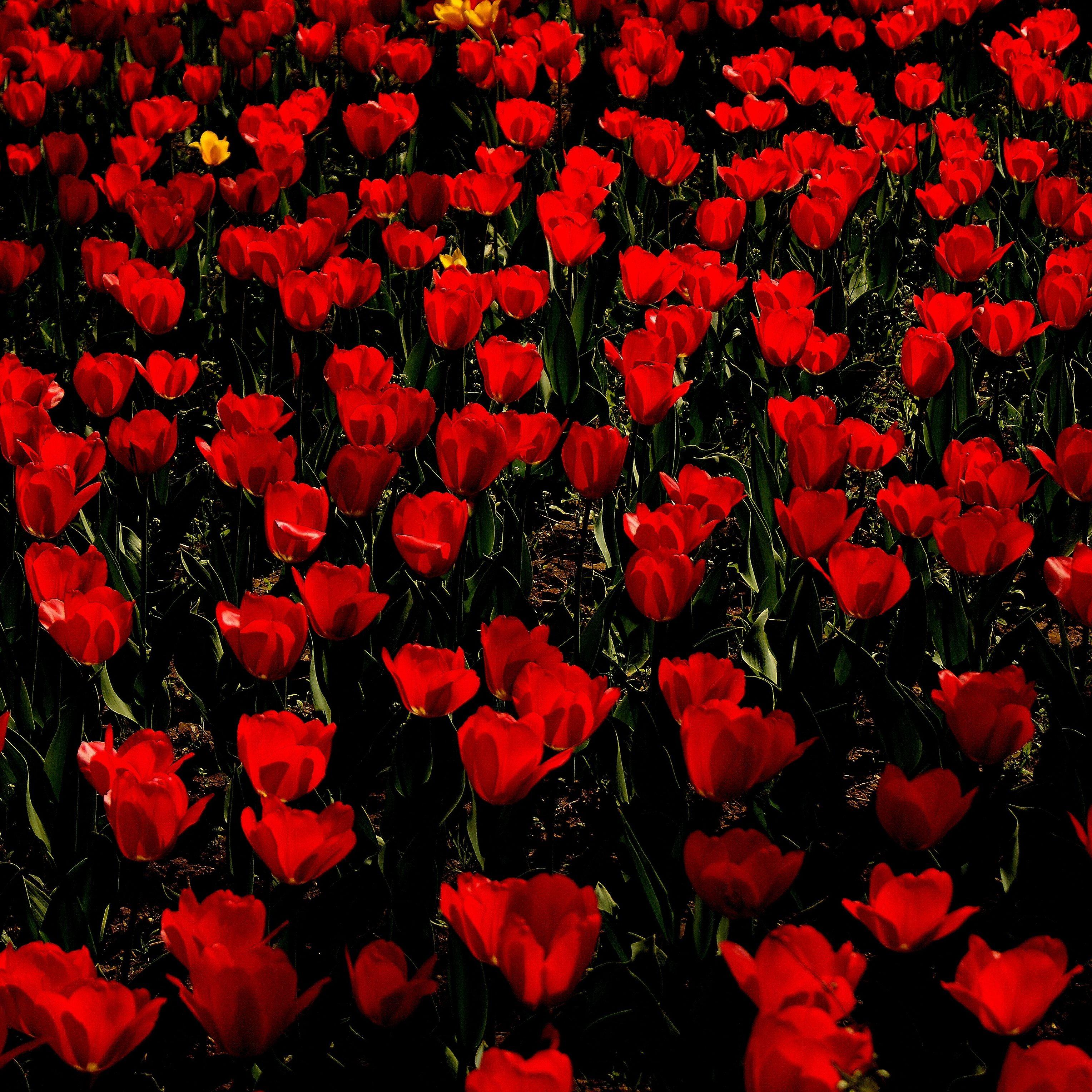 bY Your side（Prod.Lilskittles X LILEVE）