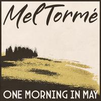 One Morning in May