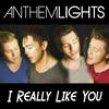 Anthem Lights - I Really Like You