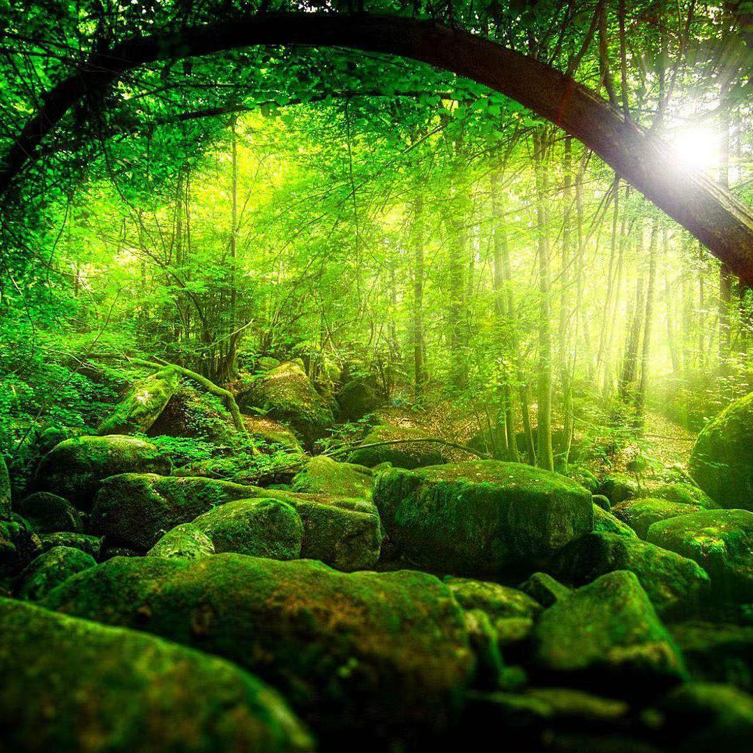 唱一唱 傣族民歌