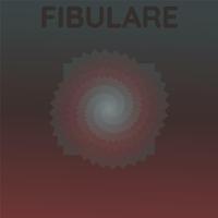 Fibulare