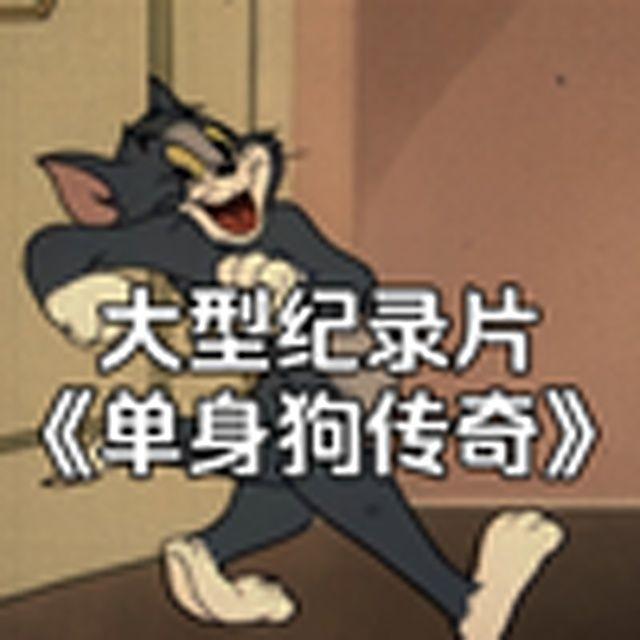 大型纪录片《单身狗传奇》封面