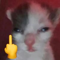 李少博