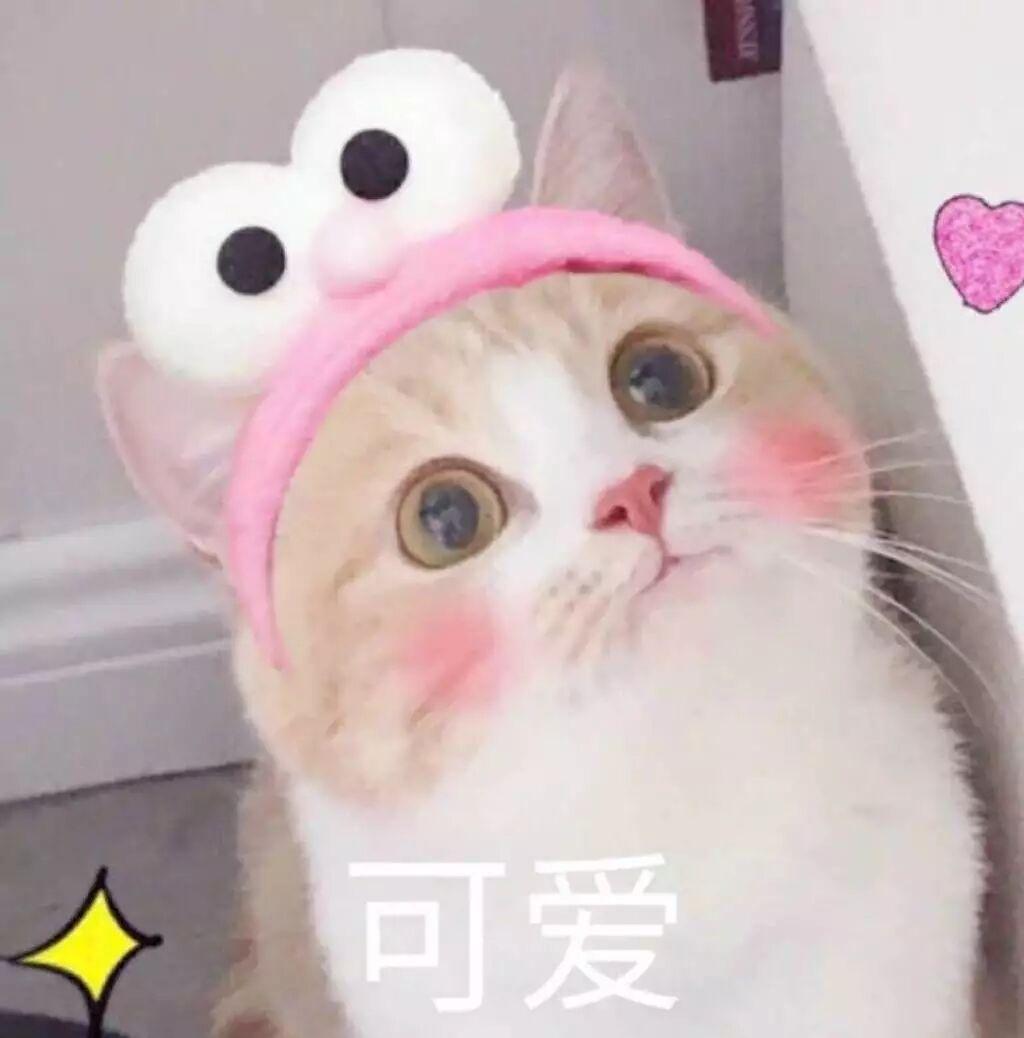 欧巴我不傻 - 漆色纯黑封面