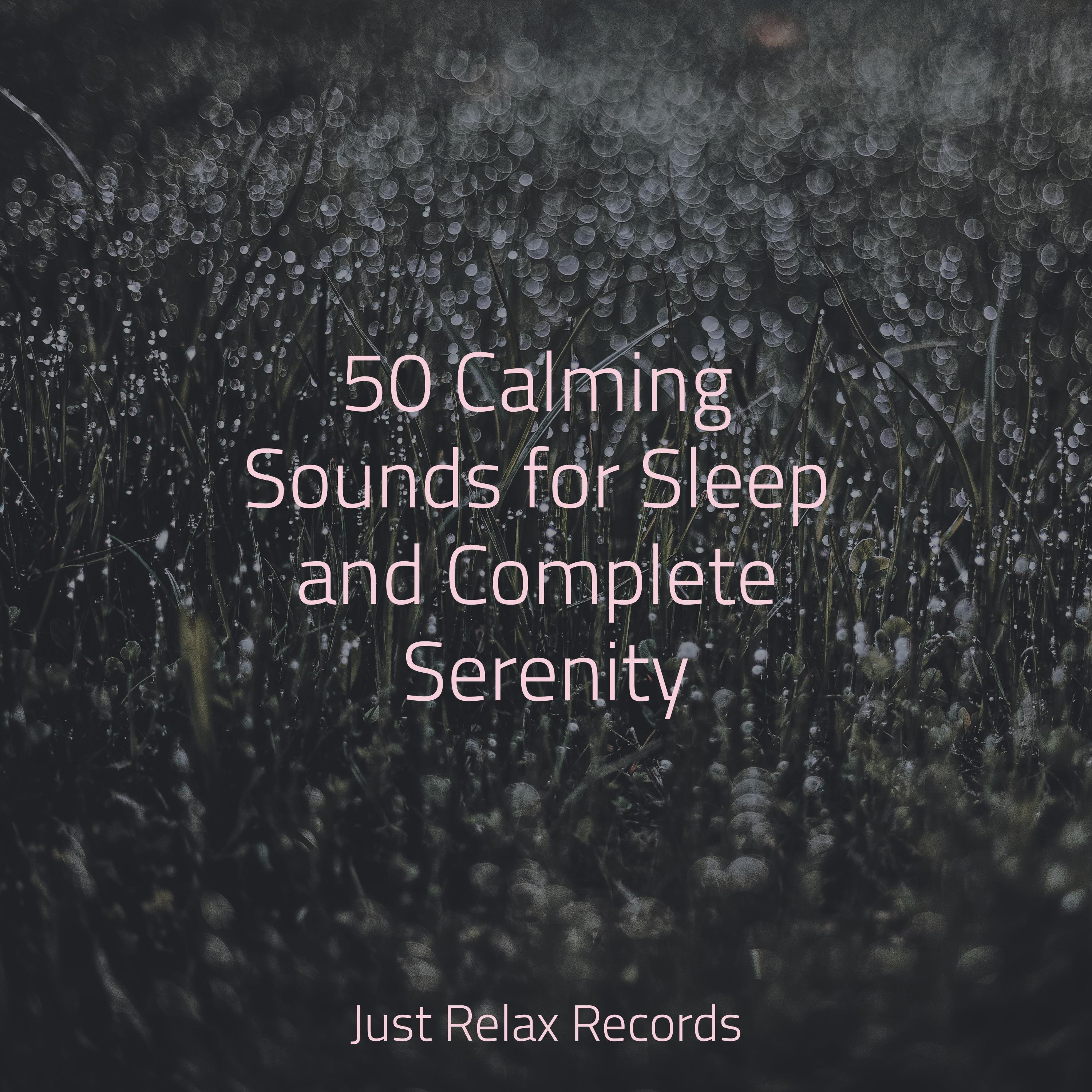 Muted Wisdom Reflections Revealed Deep Sleep Meditation/Instrumental