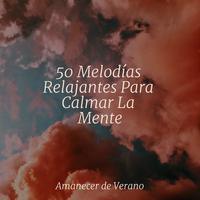 50 Melodías Relajantes Para Calmar La Mente