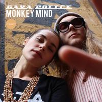 Monkey Mind